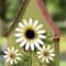 Glitzhome® 52.5" Green Metal Daisy Decorative Garden Birdhouse with Stake
